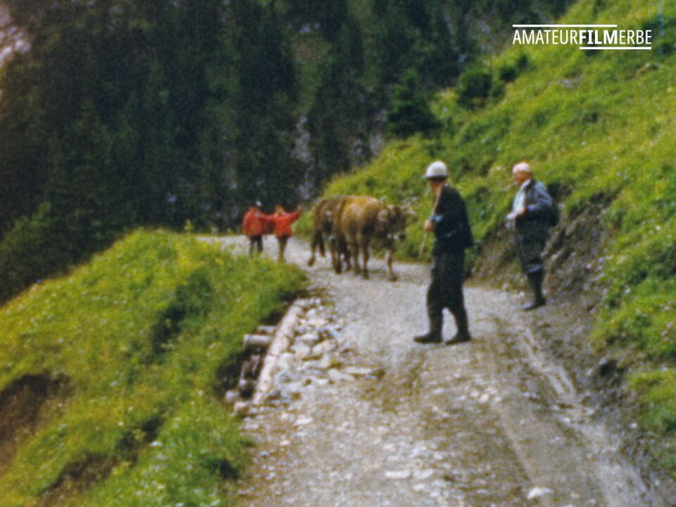Vorarlberg and Tyrol – Still 8/29