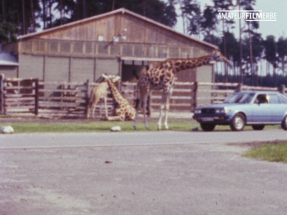 Serengeti Park Hodenhagen – Still 2/13