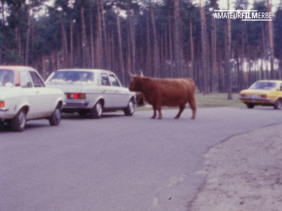 Serengeti Park Hodenhagen – Still 4/13
