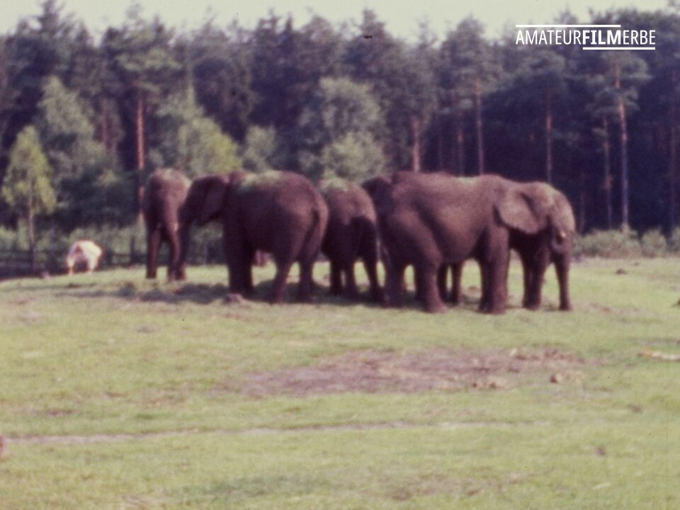 Serengeti Park Hodenhagen – Still 10/13