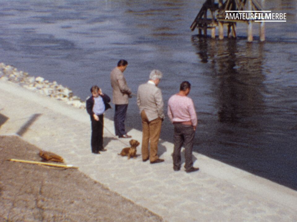 Regensburg residents and their dogs – Still 6/20