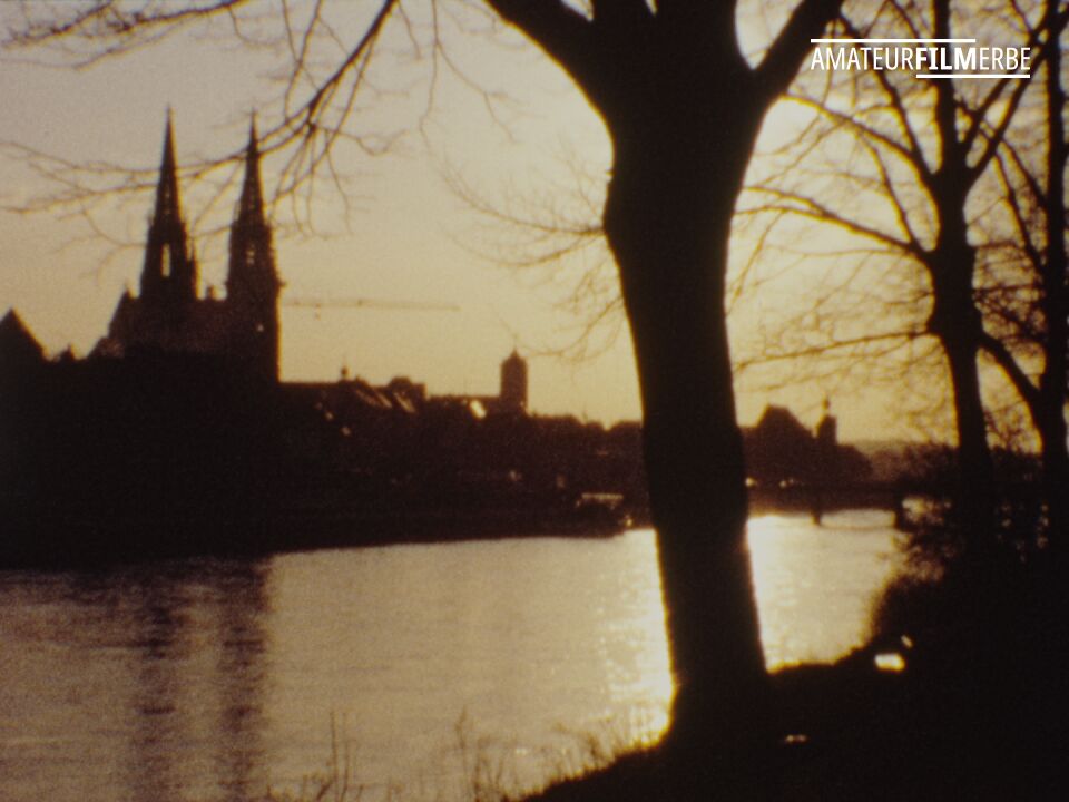 Regensburg residents and their dogs – Still 20/20