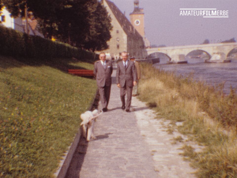 Regensburg residents and their dogs